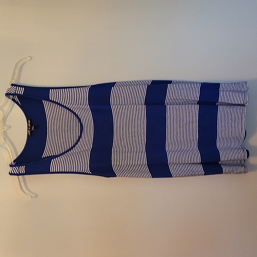 Cable & Gauge Women's Blue Striped Tank Top | Size Large